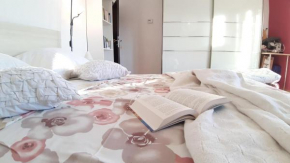 Гостиница Apartments Biba  Пула